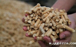 去煤减碳，生物质能源开启替代空间