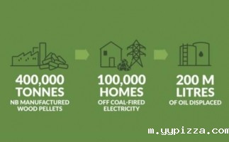 本地木屑颗粒是满足能源需求的明智和负责任的解决方案