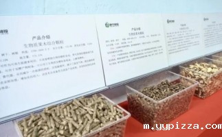 甘肃省静宁县仁大镇生物质废弃物综合利用项目建成投产