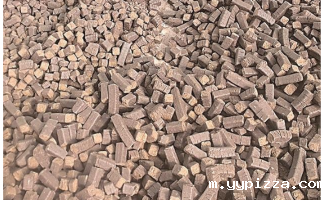 西海桑丁东周： 让更多人用上“生物质环保燃料”