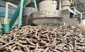 山东省临沂市兰陵县卞庄街道：生物质成型燃料生产项目为循环农业发展注入新活力