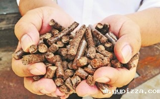 投资木屑颗粒厂前需要做的准备