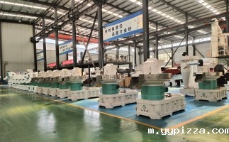 2025 年投资木屑颗粒机的十大核心优势与实战指南