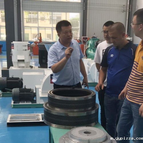 阿尔及利亚客户到我公司考察秸秆颗粒机生产线